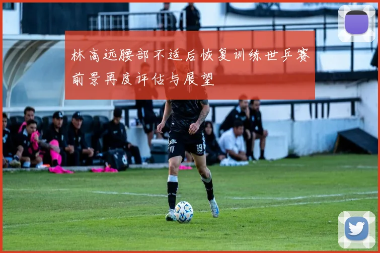 林高远腰部不适后恢复训练世乒赛前景再度评估与展望