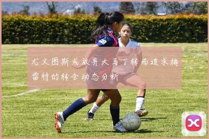 尤文图斯或放弃大马丁转而追求梅雷特的转会动态分析