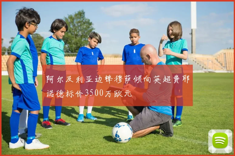 阿尔及利亚边锋穆萨倾向英超费耶诺德标价3500万欧元