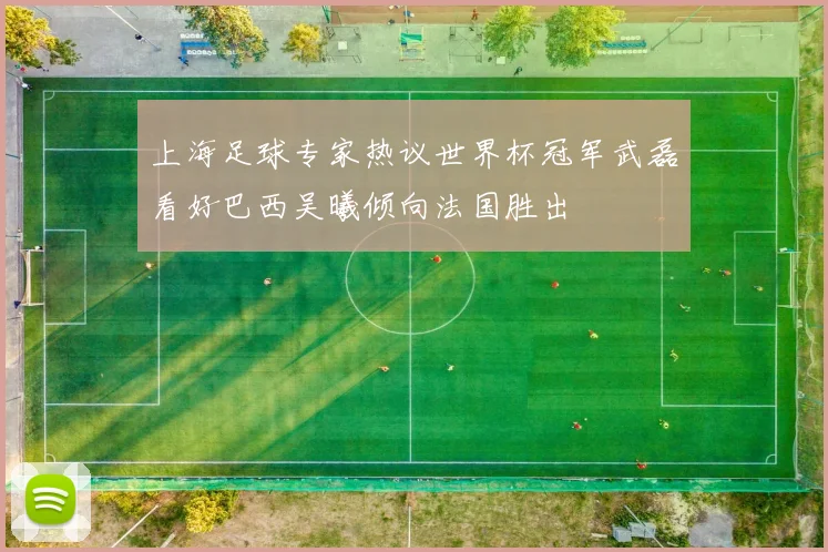 上海足球专家热议世界杯冠军武磊看好巴西吴曦倾向法国胜出